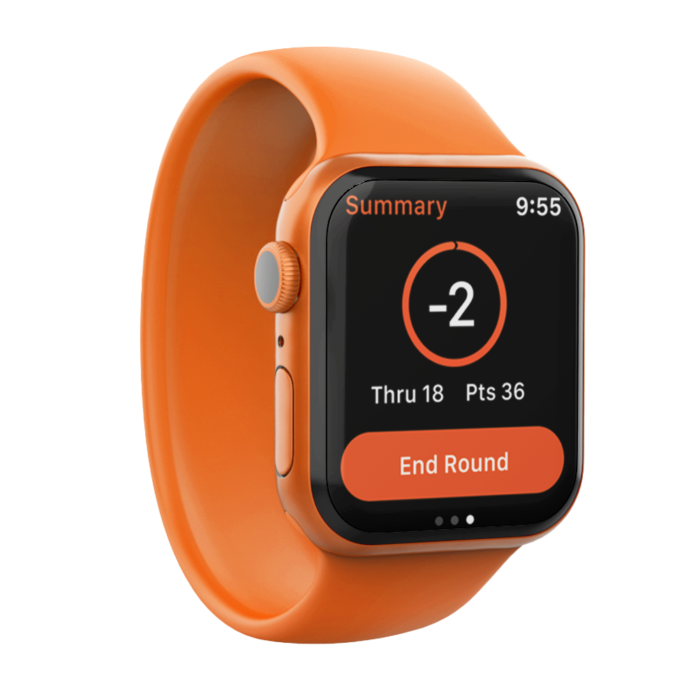Apple-Watch-Summary-Screen.png