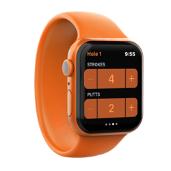 Apple-Watch-Score Input.png