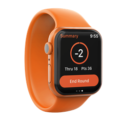 Apple-Watch-Summary-Screen.png